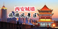 黄片操逼随鸡吧中国陕西-西安城墙旅游风景区