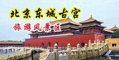 骚比少妇视屏中国北京-东城古宫旅游风景区
